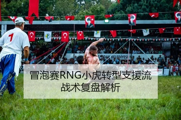 冒泡赛RNG小虎转型支援流 战术复盘解析